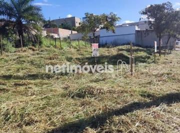 abe12a68-cba5-45c9-b0dd-f48af0662b10.webp · Terreno à Venda, Novo Centro, Santa Luzia