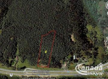 img0 · Area 22.304,54 M², As Margens da Rodovia Regis Bittencourt !