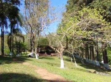 Imagem 1 · Sítio para venda em Quatro Pinheiros, Mandirituba