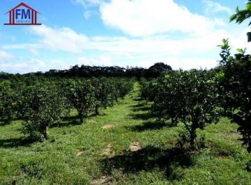 Imagem 1 · Fazenda