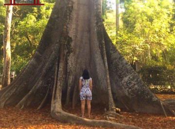 Imagem 1 · Fazenda