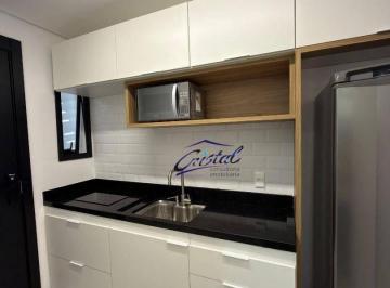 412d0b5601975a9c412e4f74d366a4d5365d839f · Studio com 1 quarto para alugar, 26 m² - Jardim Bonfiglioli - Butantã - São Paulo / SP