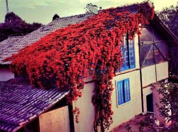 ea8405ec94fd8f1edfc72fd9c95f23141b8a18e6 · Casa Rustica Encantadora