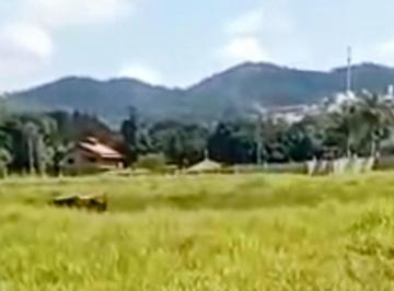 Rural · Rurais à venda - no Centro