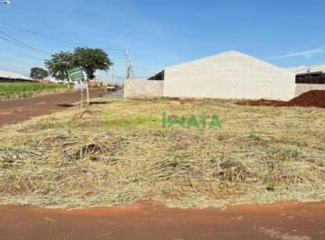 Terreno · 439m² · VENDA | Terreno,  em Jardim Gralha Azul, Sarandi