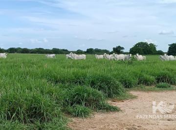 i1.jpg · Fazenda 10.000 HA