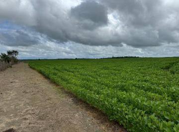 202604290952203031.jpeg · Fazenda para Venda em Goianésia do Pará, Zona Rural