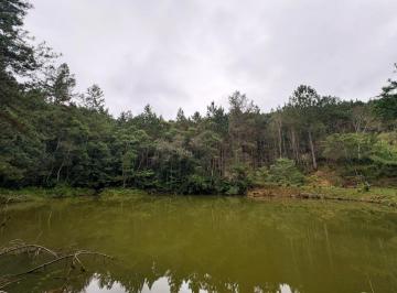 Rural de 1 quarto, Juquitiba · Oportunidade em Juquitiba: Refúgio Particular com Amplo Lago