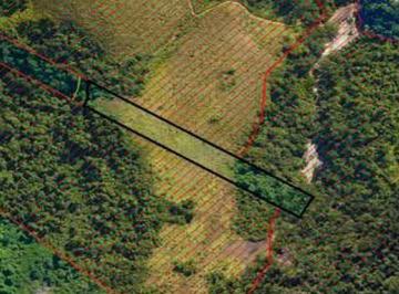 Terreno , Ilhabela · Direitos do terreno área total 5.892,44m² - Ilhabela/SP