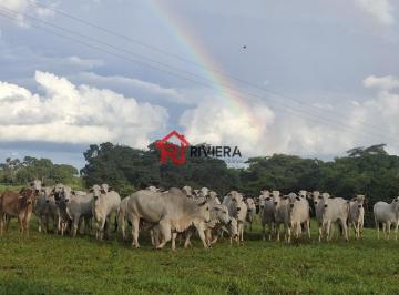 Foto 01 · Fazenda de 5.360.000m² à venda em Curvelo-MG: Oportunidade Única!