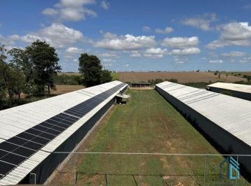 Foto 16 · Área total de 8,41ha (3,47 alqueires) com três aviários climatizados de 12x120m bem localizados em P