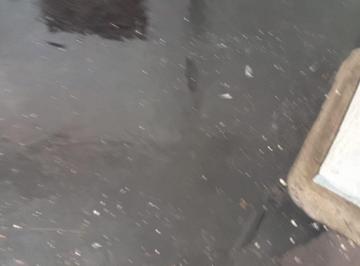 Comercial , São Paulo · Assobradado Cambucí