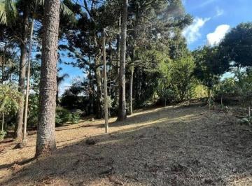 1dfc9eda585450aeecc5f001181c040d696c67f8 · Chácara com 6 dormitórios à venda, 5033 m² por R$ 1.900.000,00 - São Miguel - Curitiba/PR