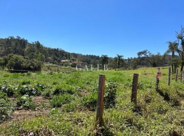 Foto 01 · Terreno de rua à venda para chácara