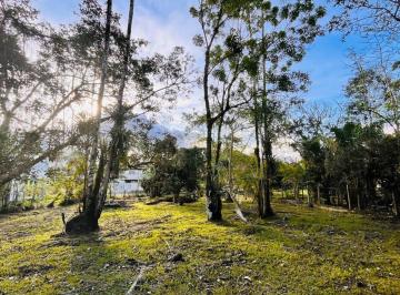 VISTA DE DENTRO DO TERRENO · Terreno à venda, 538 m² por R$ 100.000,00 - Barro
