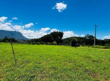 VISTA DE DENTRO DO TERRENO · TERRENO EXCLUSIVO COM ACESSO AO RIO EM MORRETES –