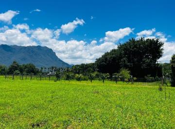VISTA DE DENTRO DO TERRENO · TERRENO EXCLUSIVO COM ACESSO AO RIO EM MORRETES –