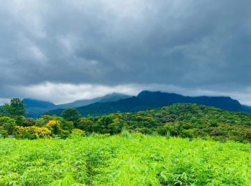 Terreno · 1347m² · Terreno Plano à Venda – América de Cima – Morretes