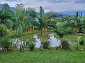 Rural · 160m² · 5 Quartos · 5 Vagas · Chácara à Venda em Rio Sagrado – Morretes/PR E