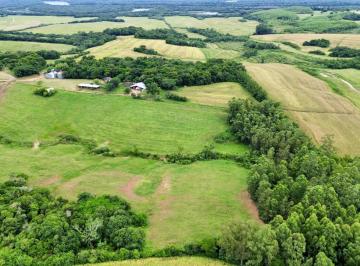 Imagem 1 · Fazenda para venda em Centro, Vale Verde