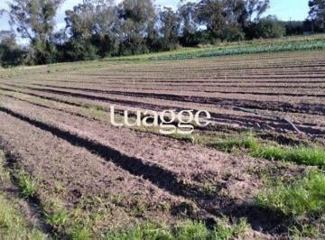 Imagem 1 · Fazenda