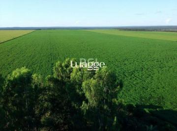Imagem 1 · Fazenda