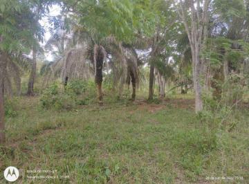 Imagem 1 · Fazenda