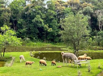 Imagem 1 · Fazenda