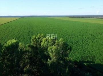 Imagem 1 · Fazenda