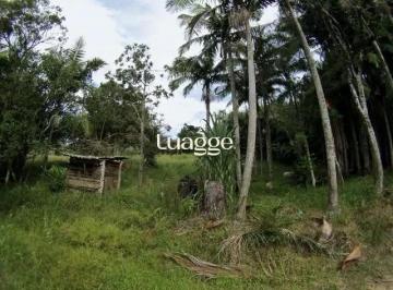 Imagem 1 · Sítio
