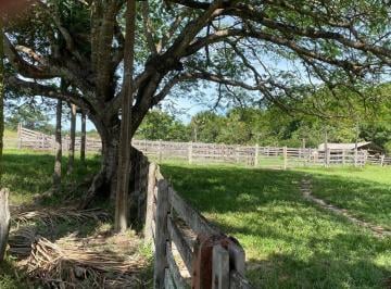 Imagem 1 · Fazenda