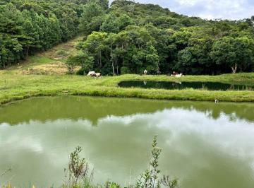 Imagem 1 · Fazenda