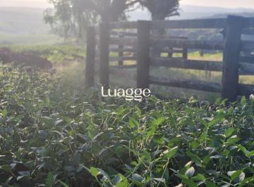 Imagem 3 · Fazenda