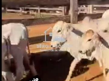 Rural , Vitória da Conquista · Fazenda de 9 Hequitaria