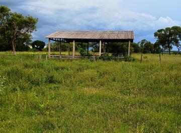 Rural · 126m² · Fazenda à venda em Santa Rita do Pardo | Mato Grosso do Sul