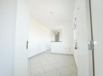 19ab9c67-5c22-4407-8dc0-652013d3fce4 · Funcional apartamento para venda em Vila Alpina com 2 quartos, 53m²
