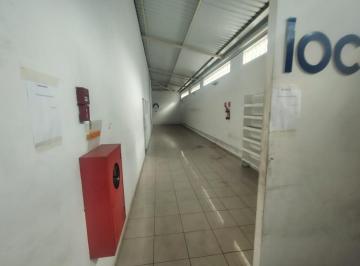 DSC_20260812_060219_000.jpeg · Excelente galpão comercial para locação em Vila Albertina, 1,875m² - julianamiravete#O5LHD