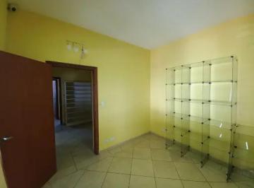 DSC_20260822_060137_000.jpeg · Funcional casa comercial para locação em Vila Romero, 85m² - julianamiravete#EQNS6