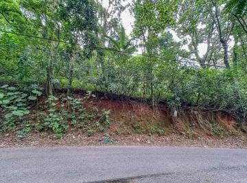 IMG_20260826_210039_000.jpeg · Deslumbrante terreno residencial para venda em Vila Albertina, 462m² - dorival-junior#JP7IZ