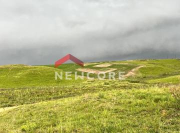 Rural · 300000m² · Fazenda em Estrada Cerrito - Cerrito - São Francisco de Paula/RS
