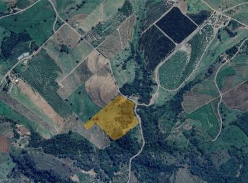 Rural , Monte Alto · Imóvel rural com 8,4353 hectares em Monte Alto–SP