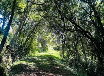 Terreno , Ibiúna · Terreno 500m² em Ibiúna Bairro Recreio – Oportunidade para Investidores à Vista