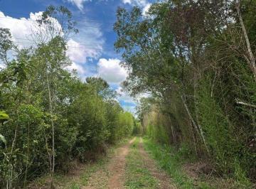 Terreno , Ibiúna · Terreno para Investimento em Ibiúna 500m² – Região em Crescimento