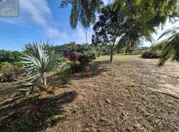 Foto 12 · Sitio, 11700m2 - Realize Seu Projeto Junto a Natureza, Sarapuí, SP