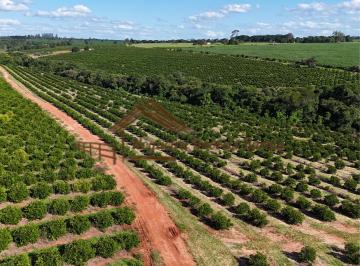 Rural , Avaré · Fazenda com 197 alqueires na região de Avaré-SP