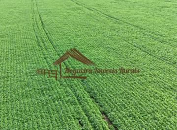 Rural , Avaré · Fazenda com 100 alqueires em Avaré-SP