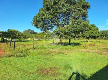 WhatsApp Image 2026-04-30 at 1.56.59 PM.jpeg · Sítio 12,5 Hectares em Poconé: Formado, com 2 Represas e apenas 6km da Cidade
