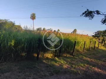 WhatsApp Image 2026-04-29 at 5.54.42 PM.jpeg · Oportunidade em Várzea Grande: 32ha de Área Formada – Vendo Área Total ou Fracionada por Hectare!