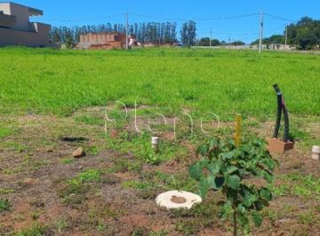 imagem · Terreno à venda em Paulínia, Boa Esperança, com 300 m², Residencial das Acácias