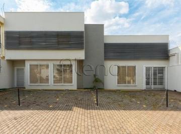 imagem · Casa para alugar em Campinas, Ponte Preta, com 8 quartos, com 436 m²